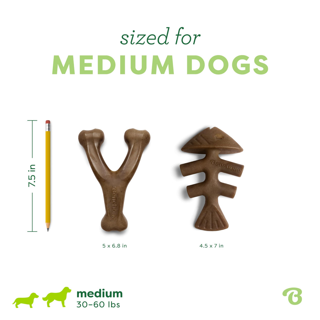 Benebone Large 4-Pack Dog Toys for Aggressive Chewers – Durable Dog Bones, Made in USA – Dog Toys for Large Dogs Under 90 lbs