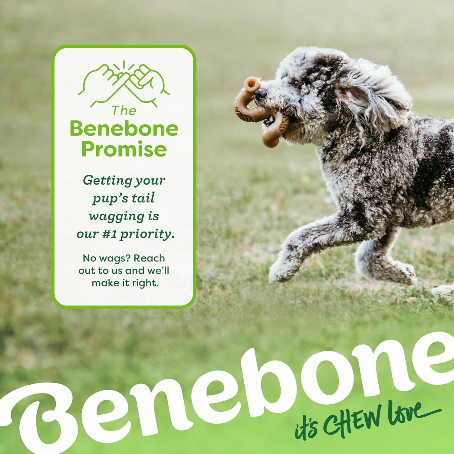 Benebone Large 4-Pack Dog Toys for Aggressive Chewers – Durable Dog Bones, Made in USA – Dog Toys for Large Dogs Under 90 lbs