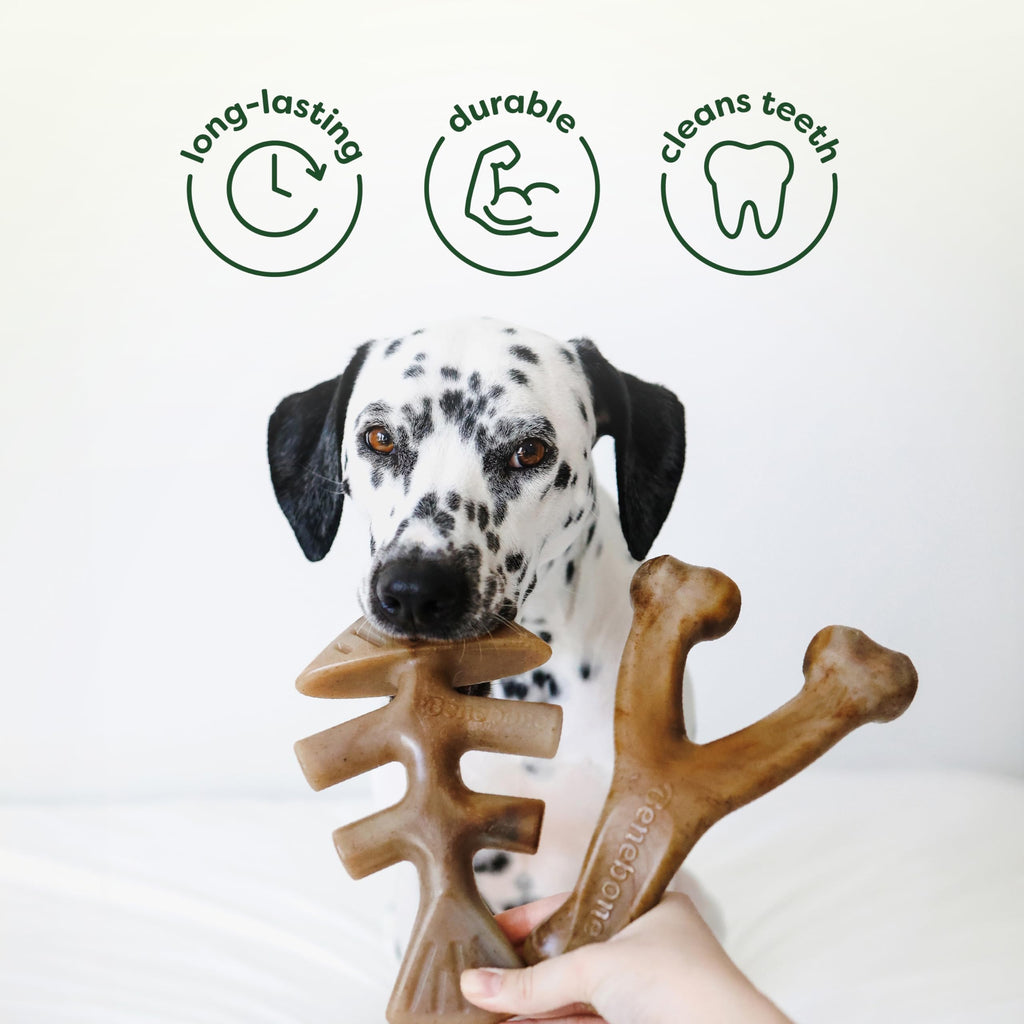 Benebone Large 4-Pack Dog Toys for Aggressive Chewers – Durable Dog Bones, Made in USA – Dog Toys for Large Dogs Under 90 lbs