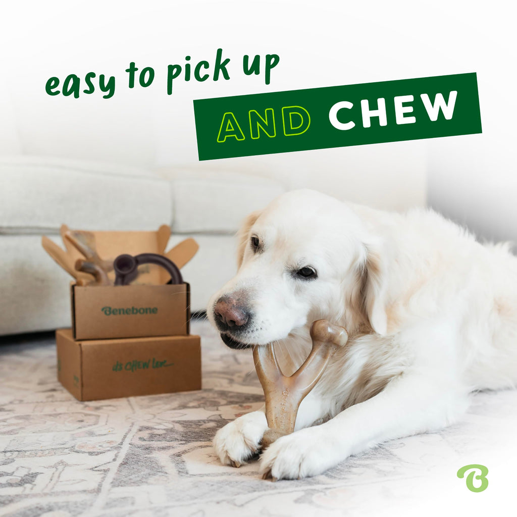 Benebone Large 4-Pack Dog Toys for Aggressive Chewers – Durable Dog Bones, Made in USA – Dog Toys for Large Dogs Under 90 lbs