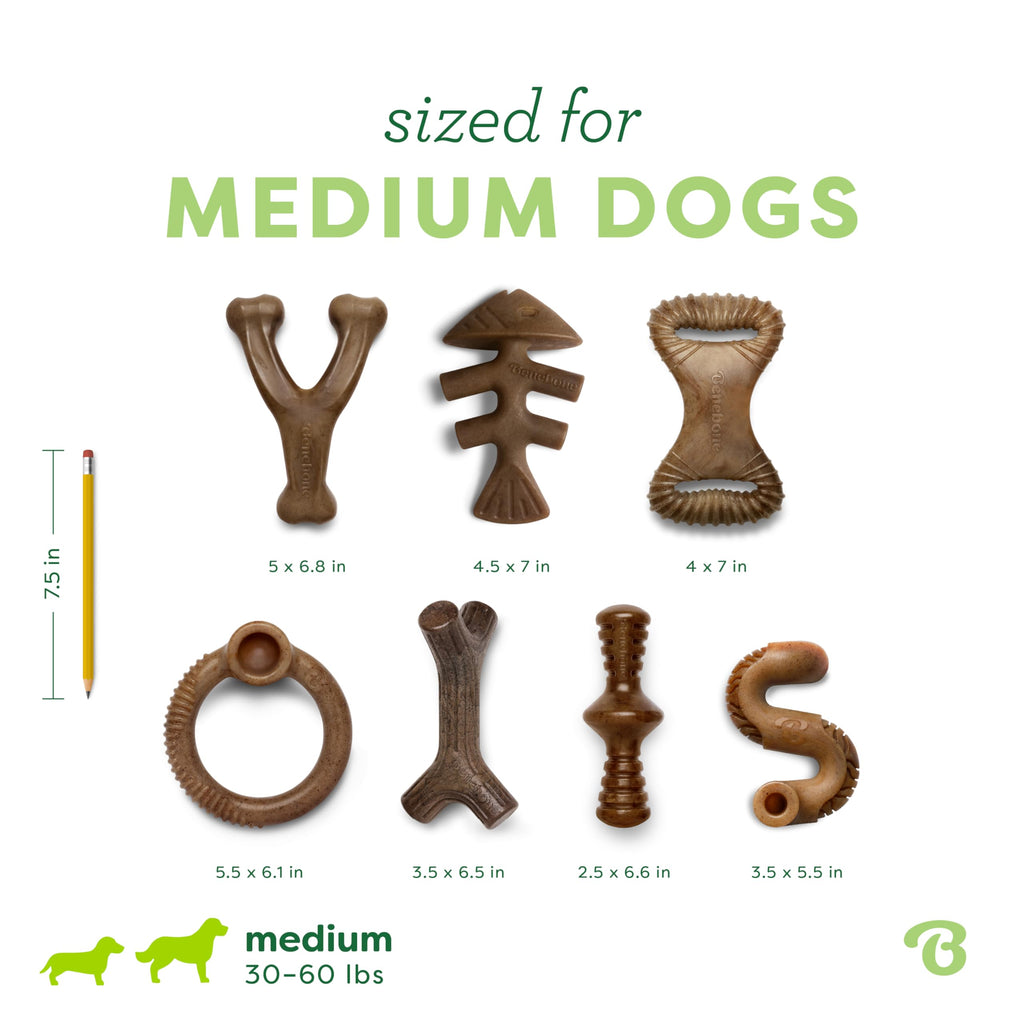 Benebone Large 4-Pack Dog Toys for Aggressive Chewers – Durable Dog Bones, Made in USA – Dog Toys for Large Dogs Under 90 lbs