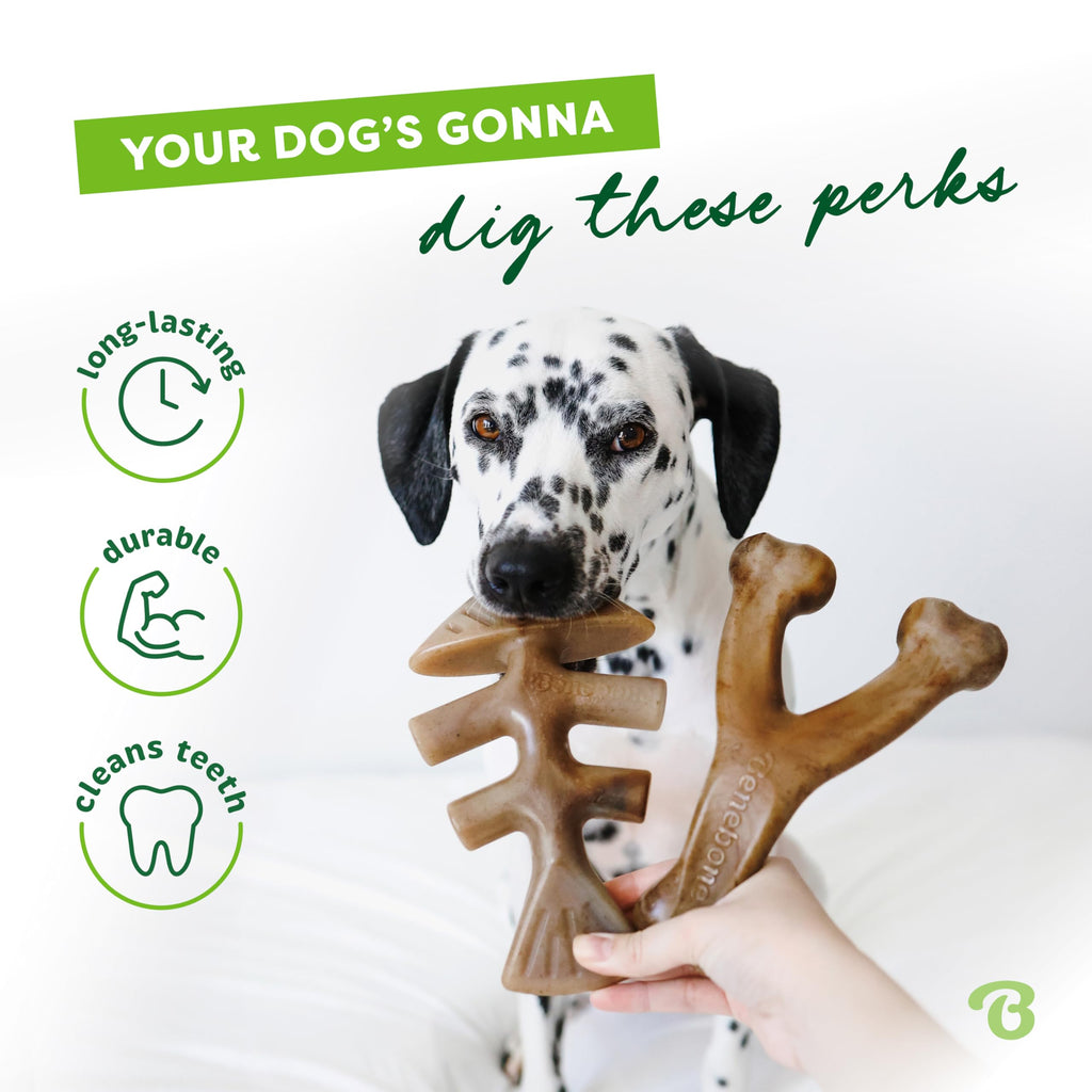 Benebone Large 4-Pack Dog Toys for Aggressive Chewers – Durable Dog Bones, Made in USA – Dog Toys for Large Dogs Under 90 lbs
