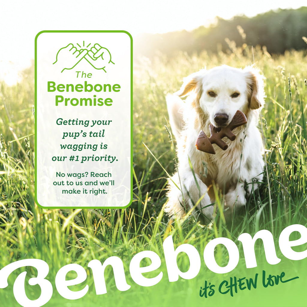 Benebone Large 4-Pack Dog Toys for Aggressive Chewers – Durable Dog Bones, Made in USA – Dog Toys for Large Dogs Under 90 lbs