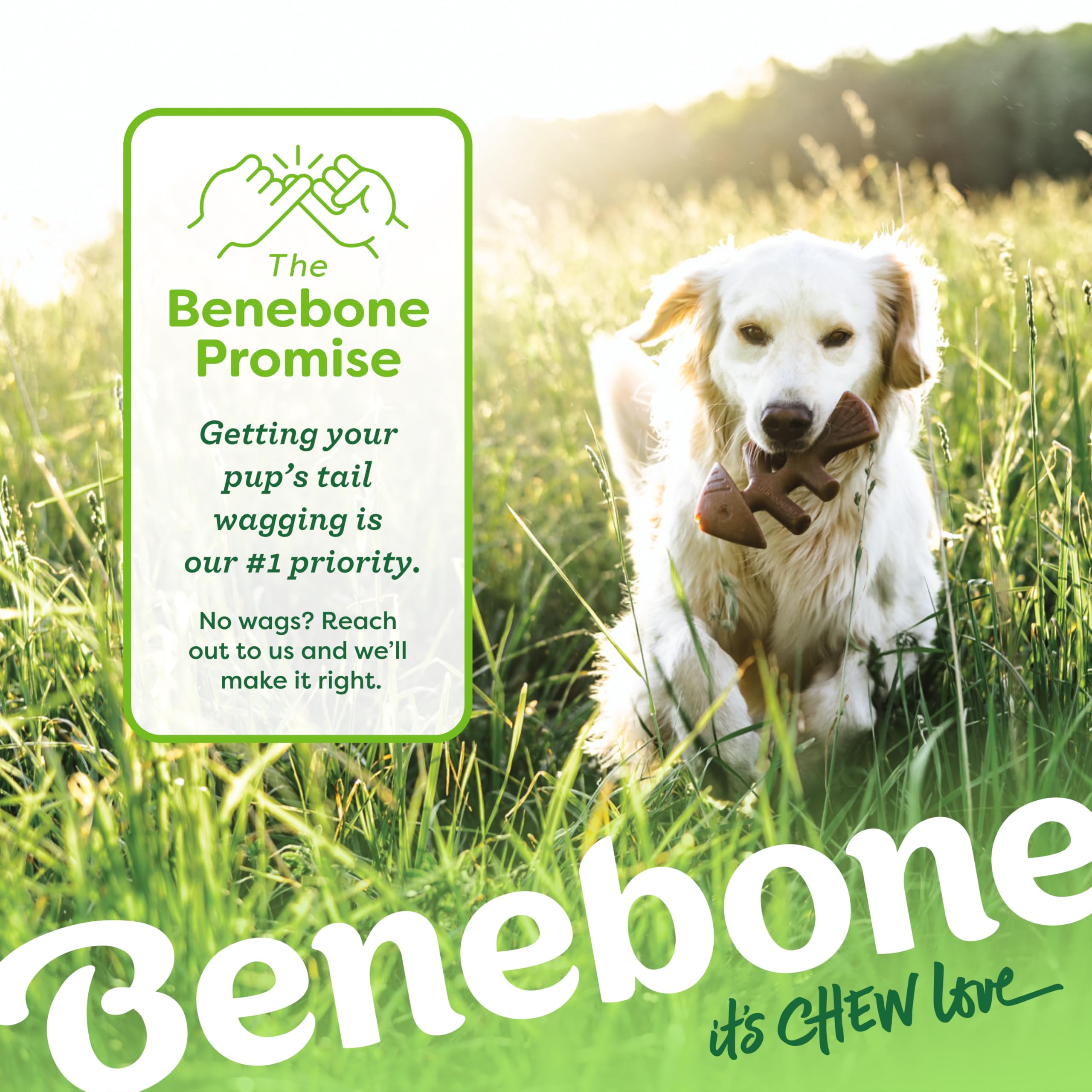 Benebone Large 4-Pack Dog Toys for Aggressive Chewers – Durable Dog Bones, Made in USA – Dog Toys for Large Dogs Under 90 lbs