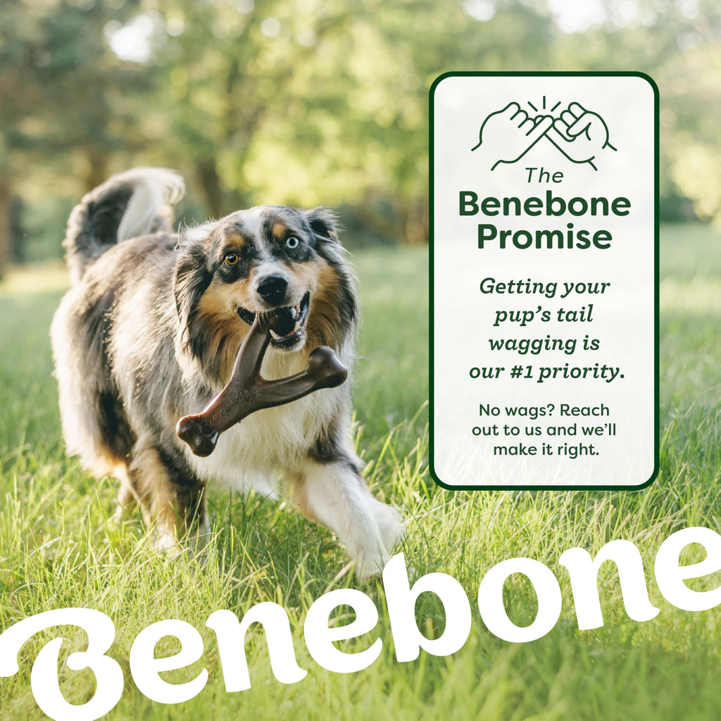 Benebone Large 4-Pack Dog Toys for Aggressive Chewers – Durable Dog Bones, Made in USA – Dog Toys for Large Dogs Under 90 lbs