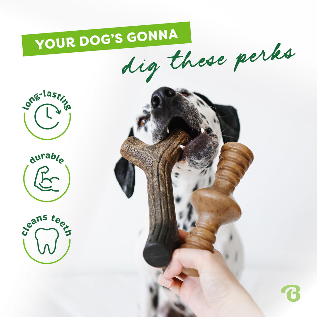 Benebone Large 4-Pack Dog Toys for Aggressive Chewers – Durable Dog Bones, Made in USA – Dog Toys for Large Dogs Under 90 lbs