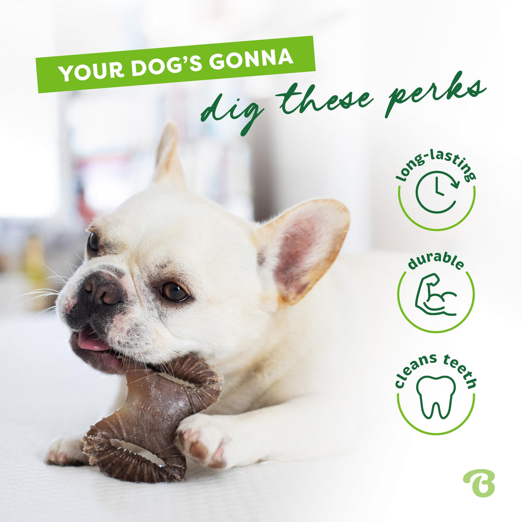 Benebone Large 4-Pack Dog Toys for Aggressive Chewers – Durable Dog Bones, Made in USA – Dog Toys for Large Dogs Under 90 lbs