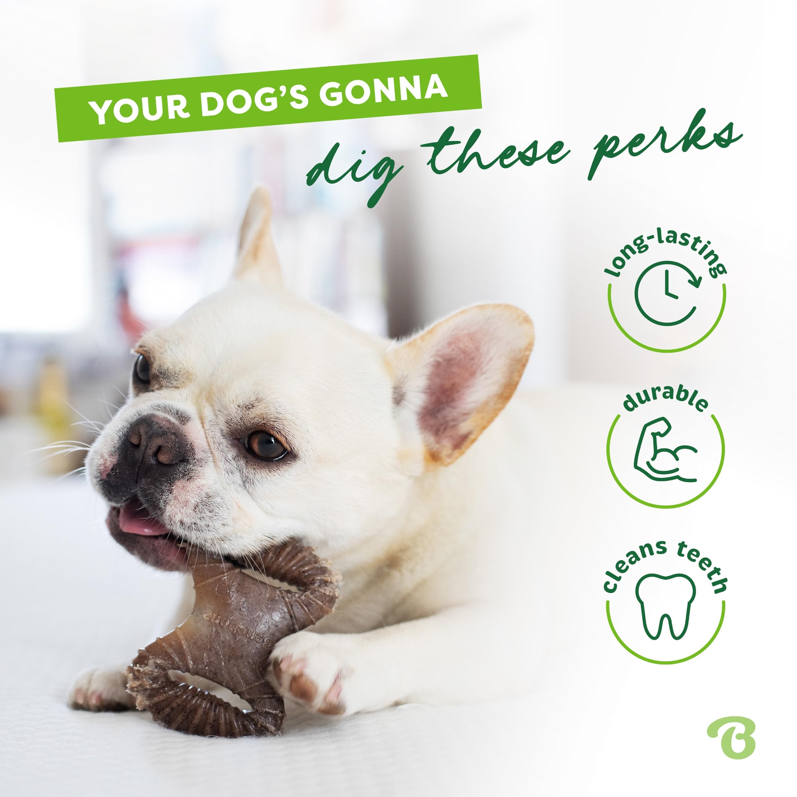 Benebone Large 4-Pack Dog Toys for Aggressive Chewers – Durable Dog Bones, Made in USA – Dog Toys for Large Dogs Under 90 lbs