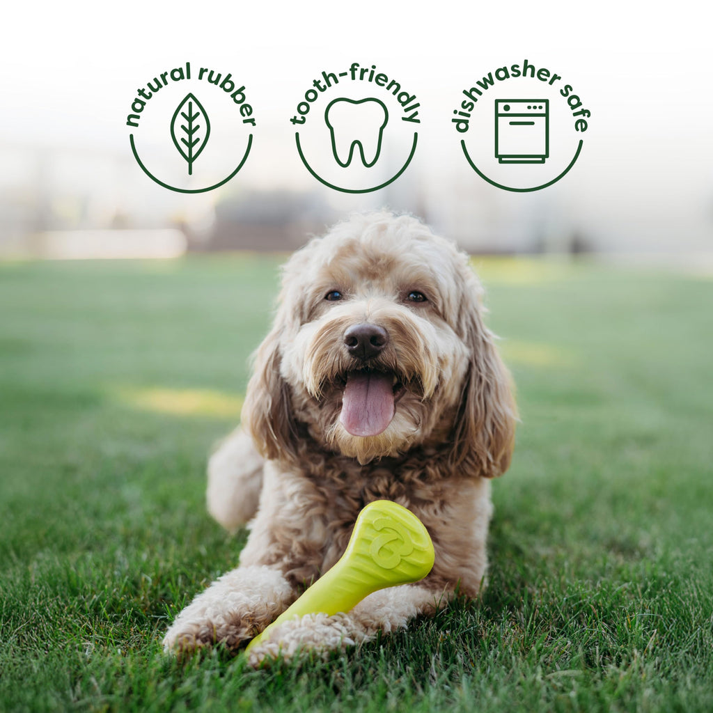 Benebone Large 4-Pack Dog Toys for Aggressive Chewers – Durable Dog Bones, Made in USA – Dog Toys for Large Dogs Under 90 lbs