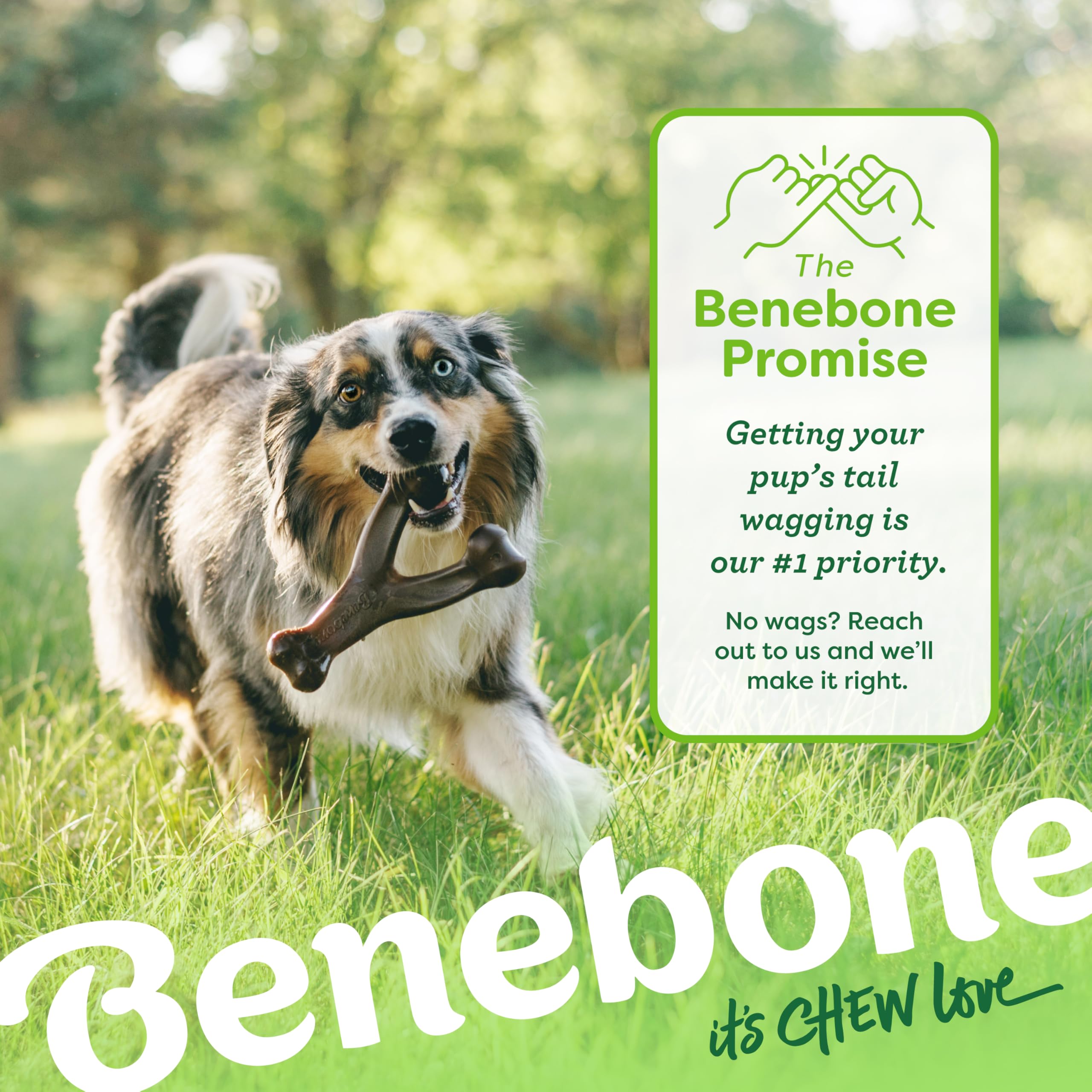 Benebone Large 4-Pack Dog Toys for Aggressive Chewers – Durable Dog Bones, Made in USA – Dog Toys for Large Dogs Under 90 lbs