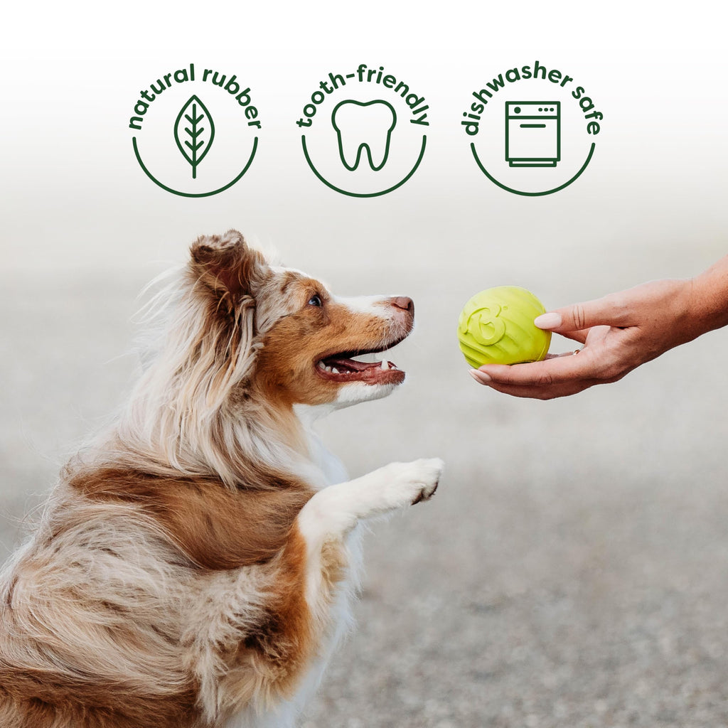 Benebone Large 4-Pack Dog Toys for Aggressive Chewers – Durable Dog Bones, Made in USA – Dog Toys for Large Dogs Under 90 lbs