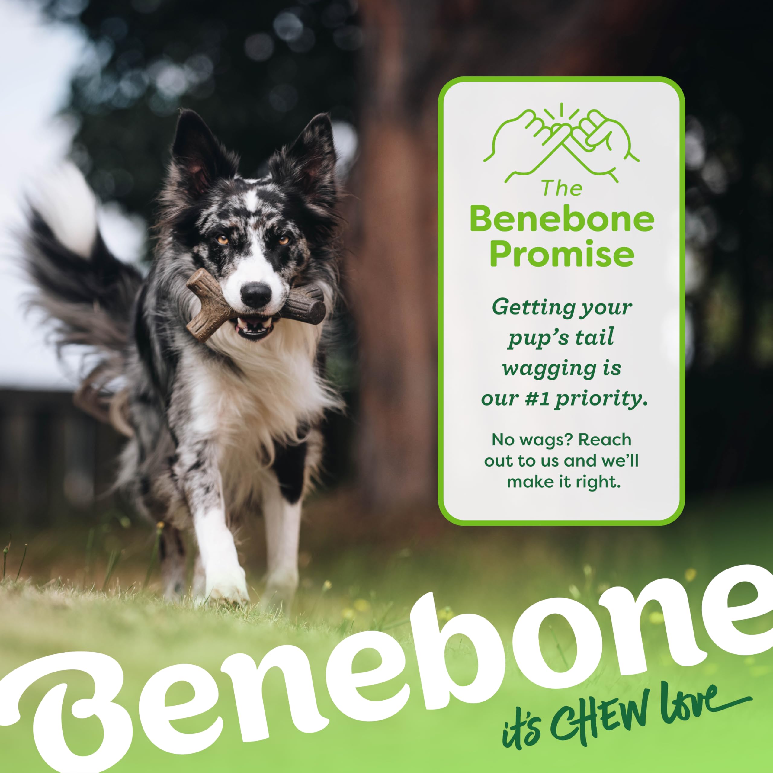 Benebone Large 4-Pack Dog Toys for Aggressive Chewers – Durable Dog Bones, Made in USA – Dog Toys for Large Dogs Under 90 lbs