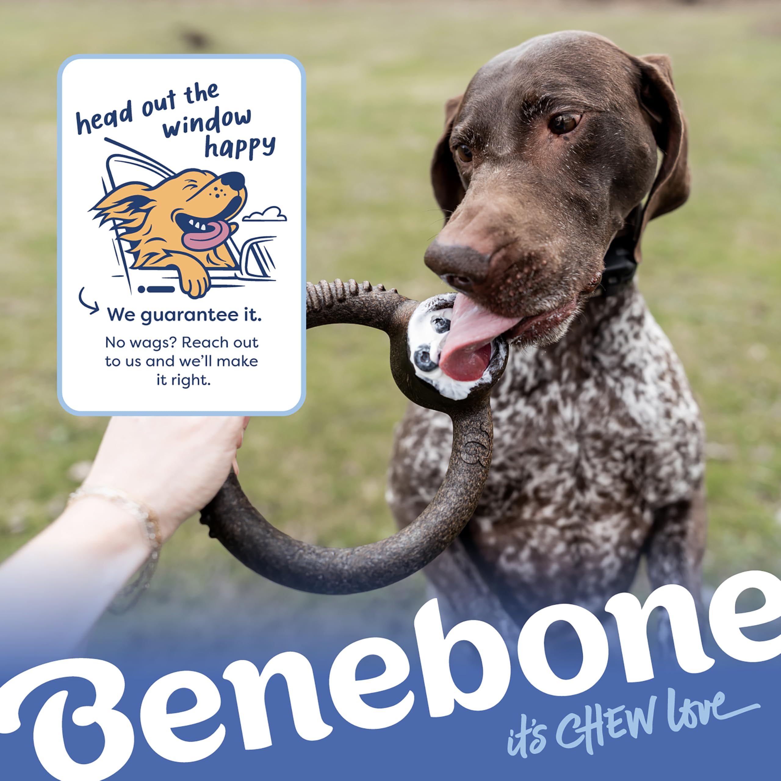 Benebone Large 4-Pack Dog Toys for Aggressive Chewers – Durable Dog Bones, Made in USA – Dog Toys for Large Dogs Under 90 lbs