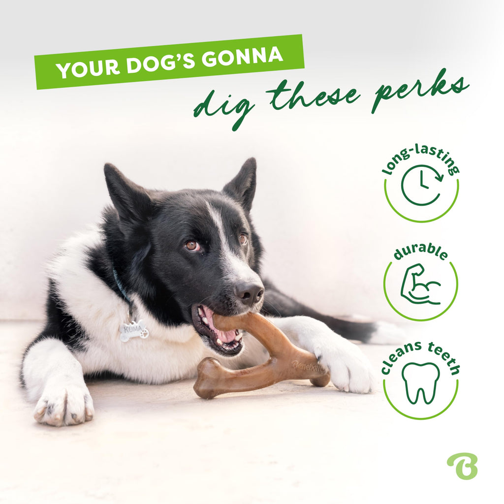 Benebone Large 4-Pack Dog Toys for Aggressive Chewers – Durable Dog Bones, Made in USA – Dog Toys for Large Dogs Under 90 lbs