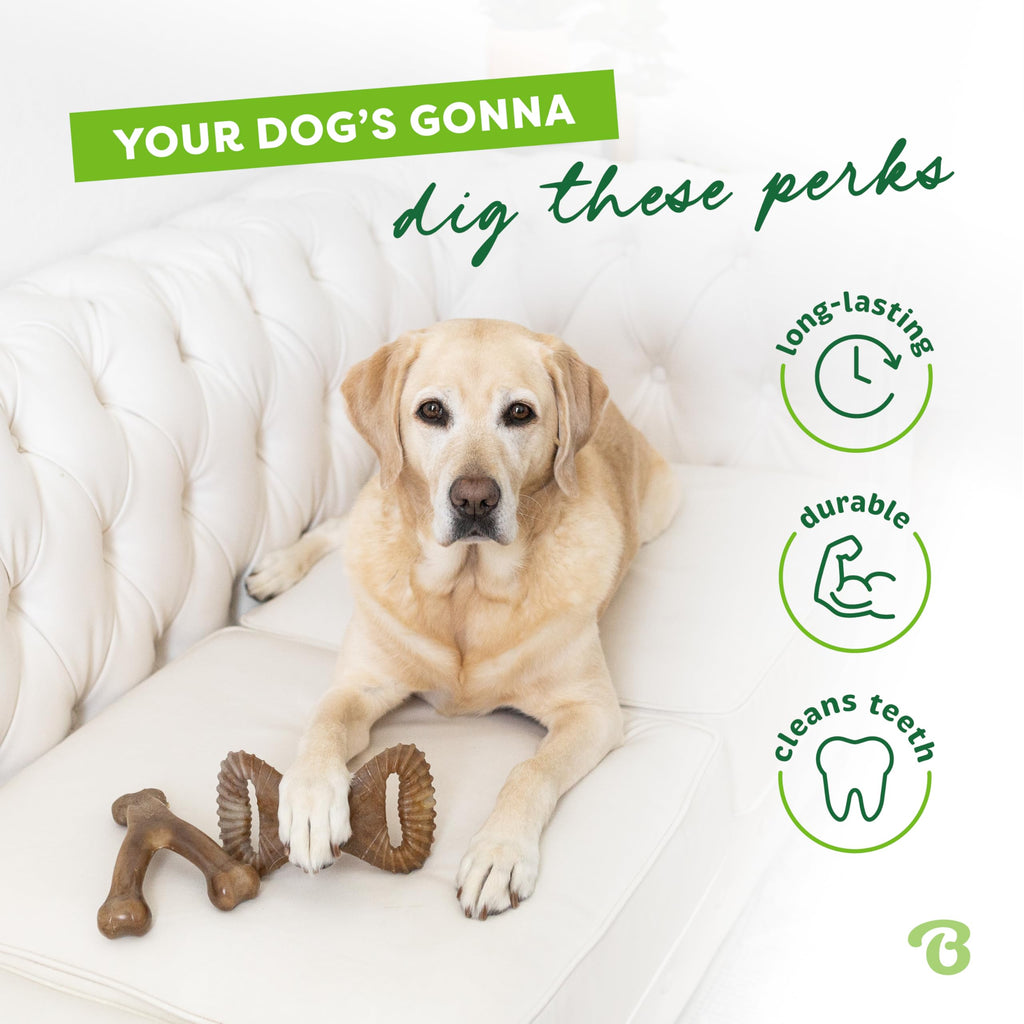 Benebone Large 4-Pack Dog Toys for Aggressive Chewers – Durable Dog Bones, Made in USA – Dog Toys for Large Dogs Under 90 lbs
