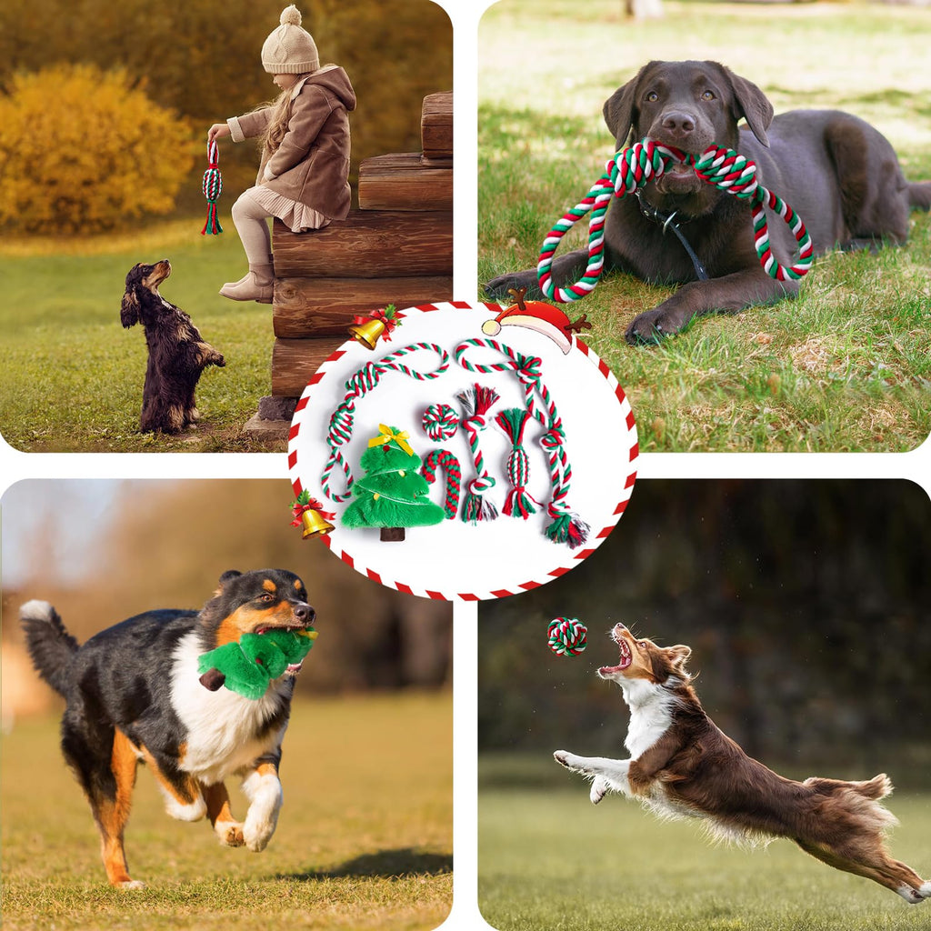 Aitmexcn Dog Rope Toys for Large and Medium Aggressive Chewers, 8 Pack Heavy Duty Dog Rope Toy for Large, Dental Cleaning Chew Toys, Tug Toy for Boredom, 100% Cotton Indestructible Pet Toy