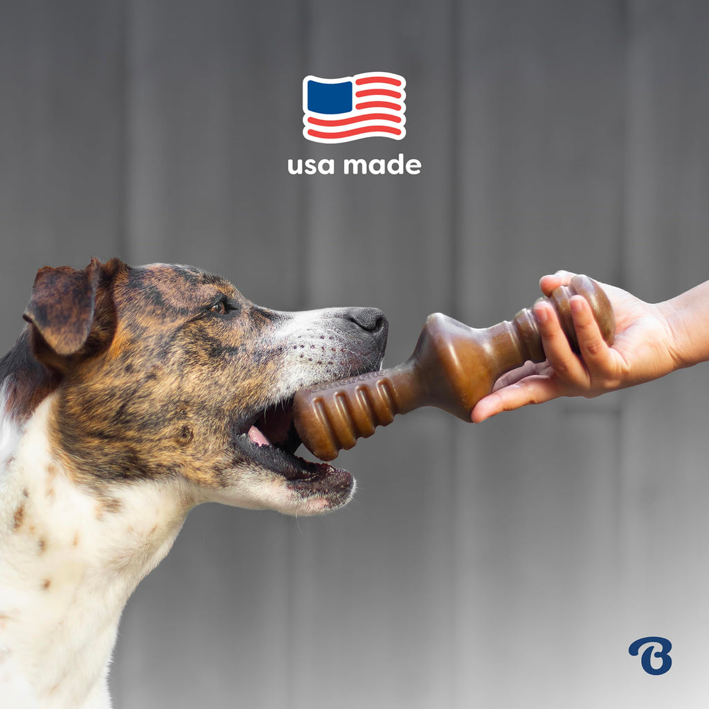 Benebone Large 4-Pack Dog Toys for Aggressive Chewers – Durable Dog Bones, Made in USA – Dog Toys for Large Dogs Under 90 lbs