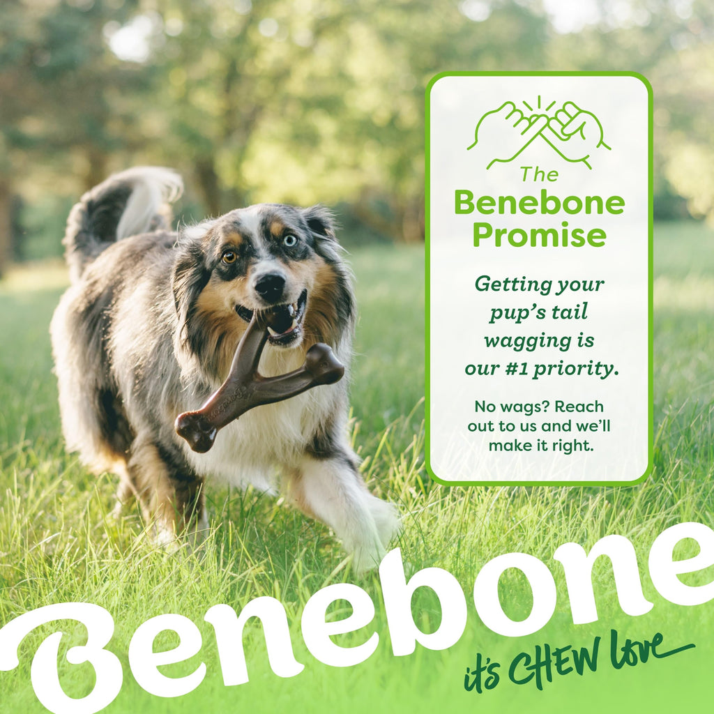 Benebone Large 4-Pack Dog Toys for Aggressive Chewers – Durable Dog Bones, Made in USA – Dog Toys for Large Dogs Under 90 lbs