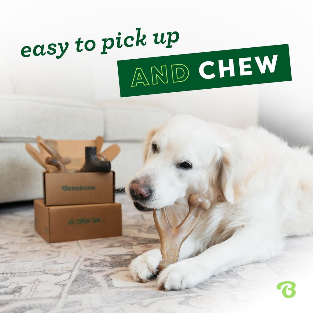 Benebone Large 4-Pack Dog Toys for Aggressive Chewers – Durable Dog Bones, Made in USA – Dog Toys for Large Dogs Under 90 lbs